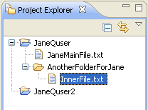 Project Explorer View