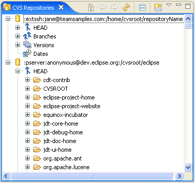 CVS Repositories View
