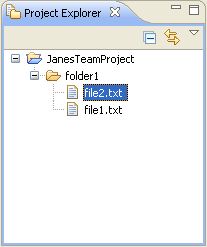 Project Explorer view