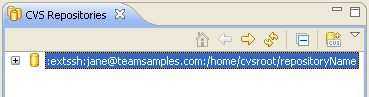 CVS Repositories view